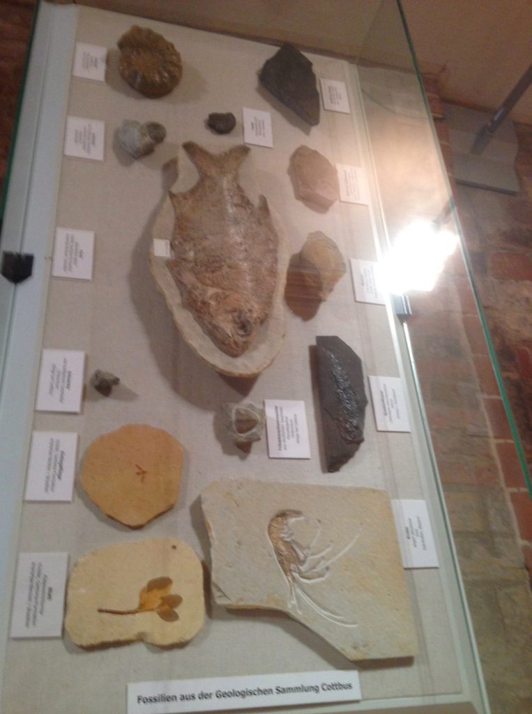 21.12.2013 bis 16.03.2014: 3. Wanderausstellung in Cottbus Schloss Branitz